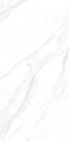 EC Calacatta Gold Matte 24 x 48